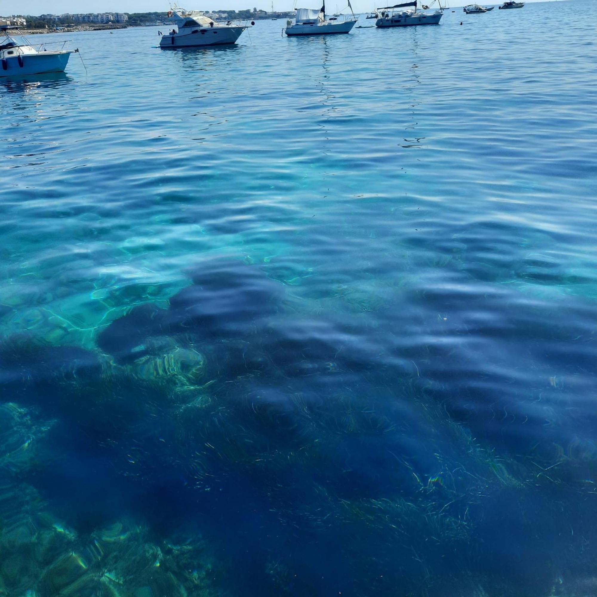 Mare Fuori Apartment *